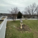 Fencing Project