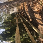 Fencing Project