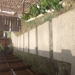 Concrete Driveways Project
