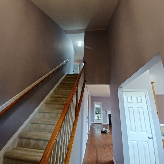 Painting - Interior Project