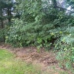 Landscaping Project