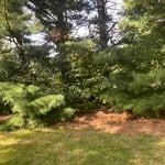 Landscaping Project