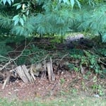 Landscaping Project