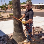Preparing for Palm Removal