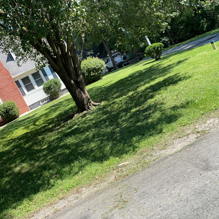 Additional Photos