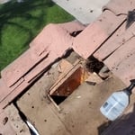 Pest Control/Exterminating Project