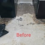 Ms.Val (1200 sqft) LVP Installation