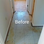 Carpet Replacement with steps