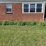 Garden Overhaul