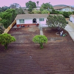 New irrigation and Soil Preparation for Clover Lawn