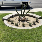 Landscaping Project