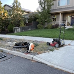 Landscaping Project