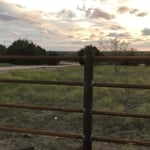 Gates with fence