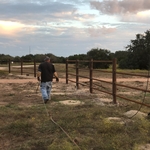 Gates with fence