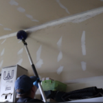 Full General Pest Control Treatment