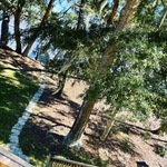 Landscaping Project