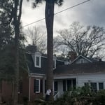 Tree Service
