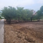 Dry Creek Estates