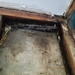 laundry room leak and mold
