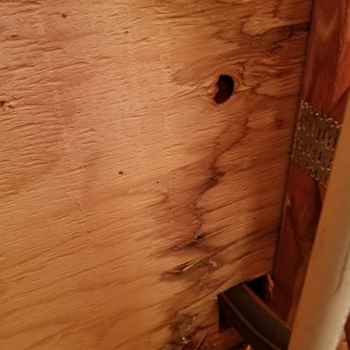 House inspection