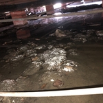 Busted pipe
