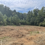 Landscaping Project