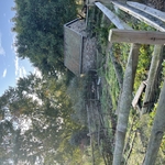 Excavating Project