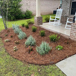 Simple Landscaping