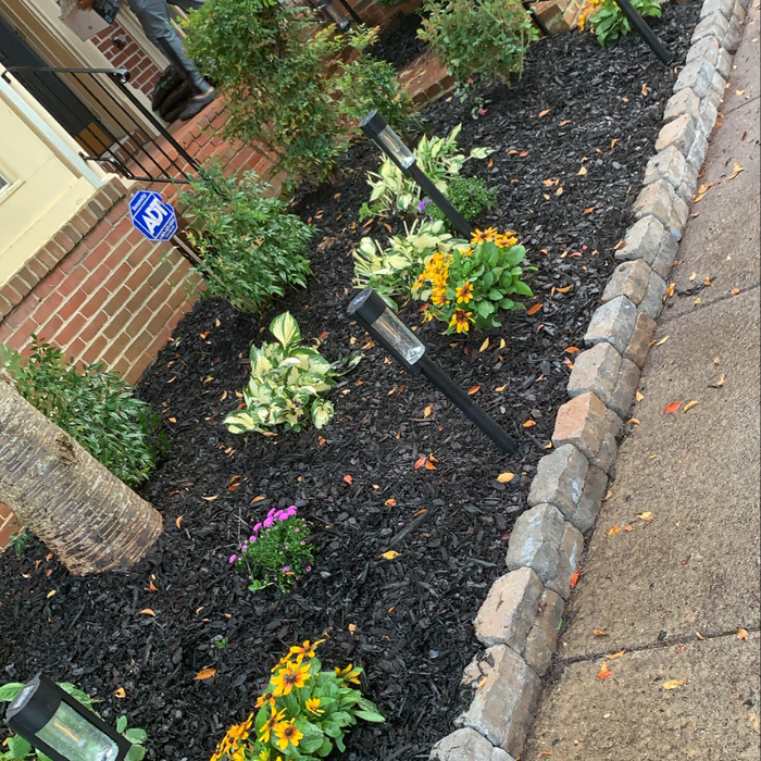 Additional Photos