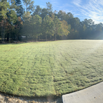 Tif-Tuf Bermuda SOD Project