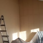 Repaint