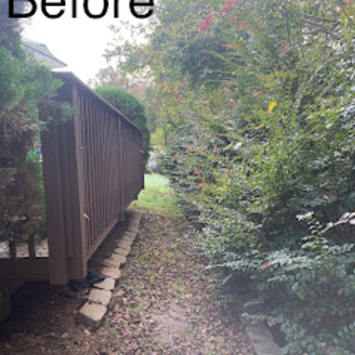 Additional Photos
