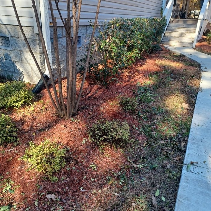 Landscaping Project