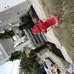 Landscaping Project