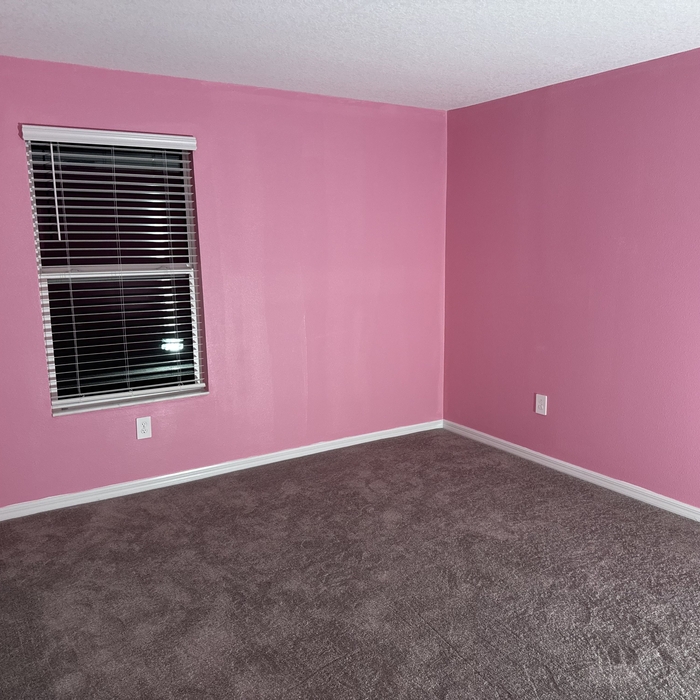 Interior Painting Project