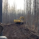 Clearing and Grubbing for access trails