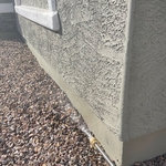 Cap it off with a protectant layer and this customer is ready for a pest feee home!
