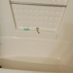 Housecleaning Project
