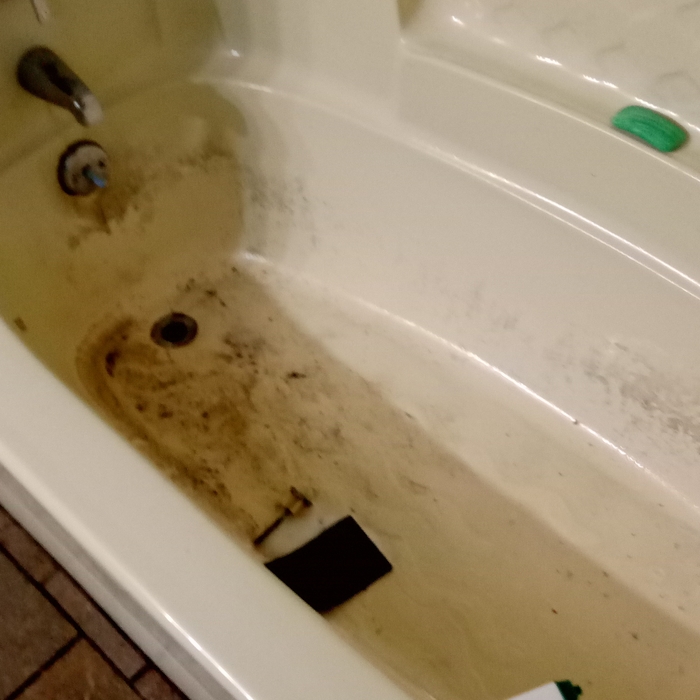 Additional Photos