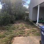 Junk removal