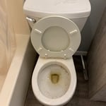 Bathroom Cleaning