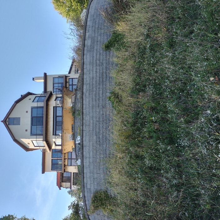 Additional Photos
