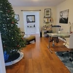 Housecleaning Project