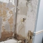 Bathroom mold under tub surround