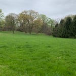 Lawn and Yard Work Project
