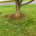 Lawn and Yard Work Project