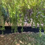Landscaping Project