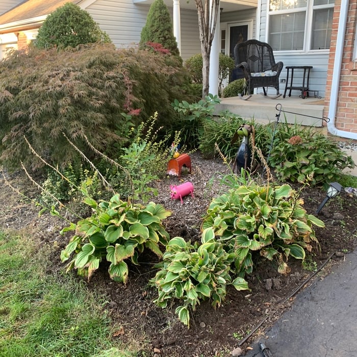 Landscaping
