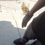 Mainline Sewer Stoppage