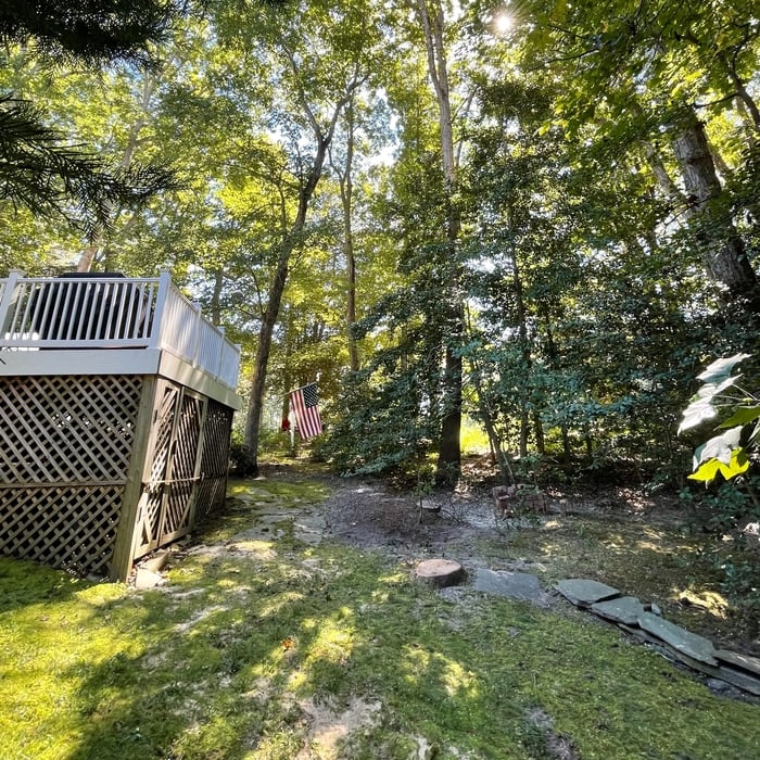 Trees Removed